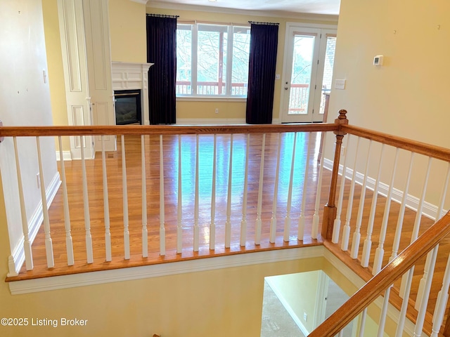 stairway with a glass covered fireplace and wood finished floors