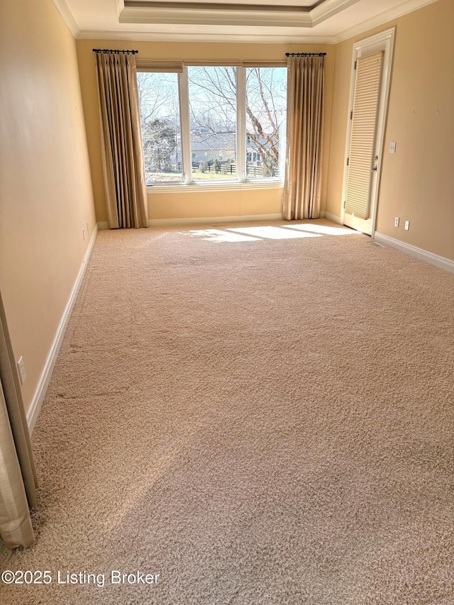 carpeted empty room with baseboards, a raised ceiling, and crown molding