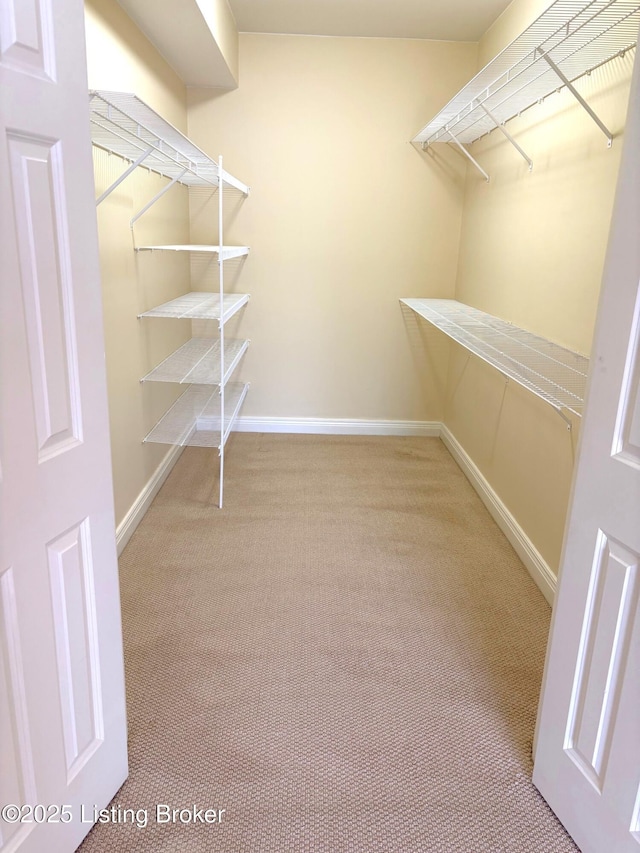 spacious closet featuring light carpet