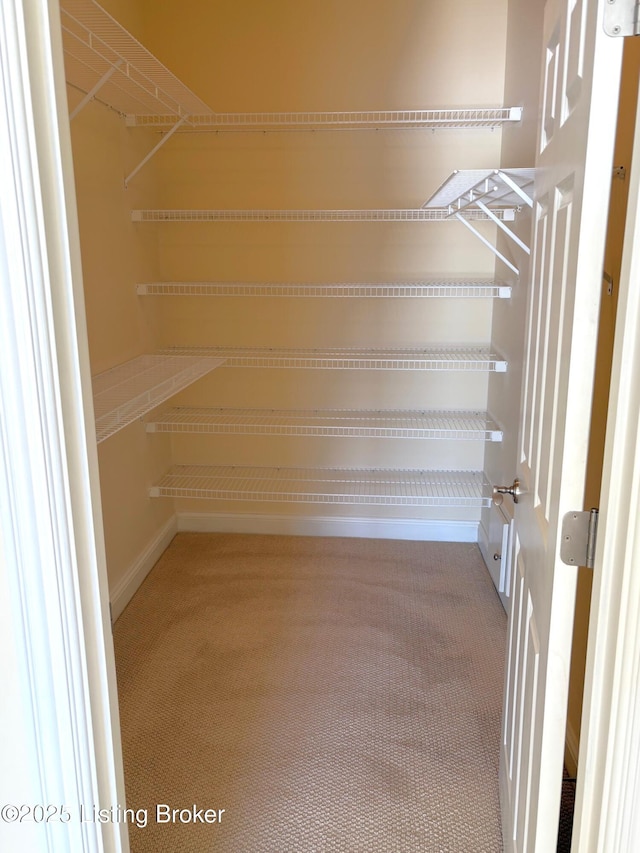 walk in closet featuring carpet