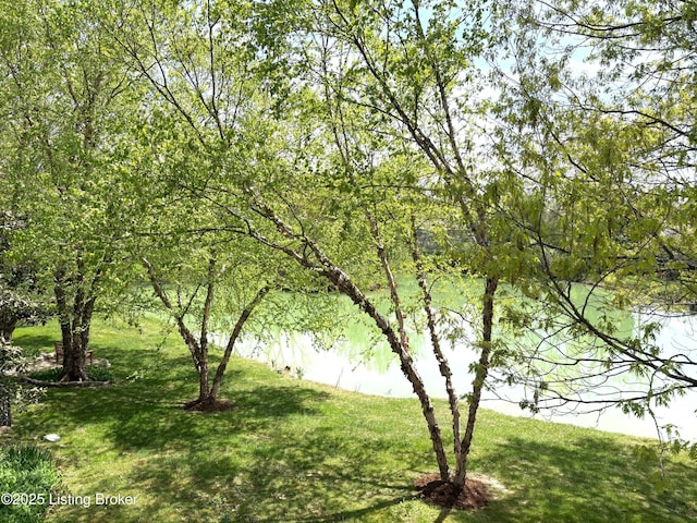 water view
