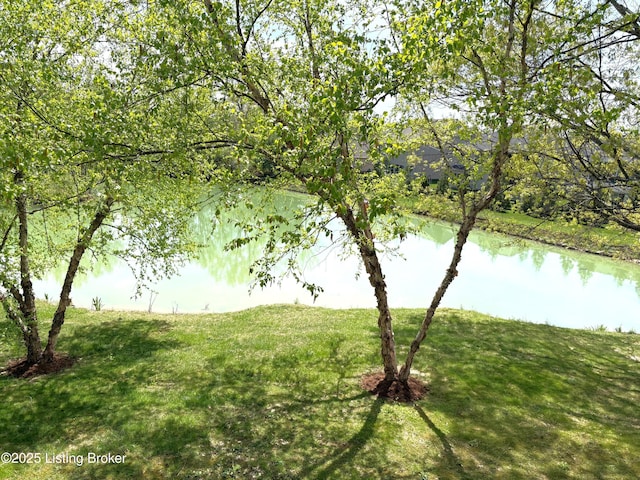 property view of water