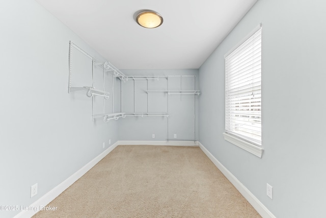 walk in closet featuring light colored carpet