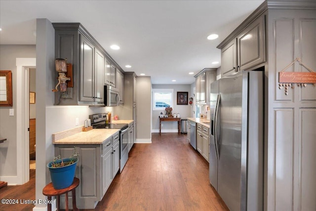 kitchen with gray cabinets, stainless steel appliances, dark wood-type flooring, and recessed lighting