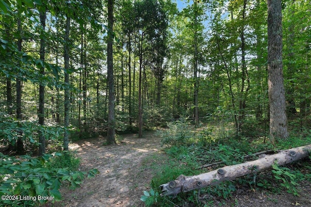 view of local wilderness featuring a wooded view