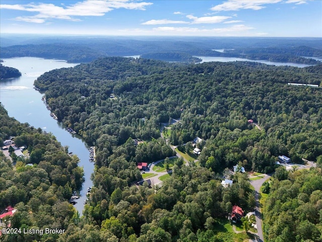 bird's eye view featuring a water view and a forest view