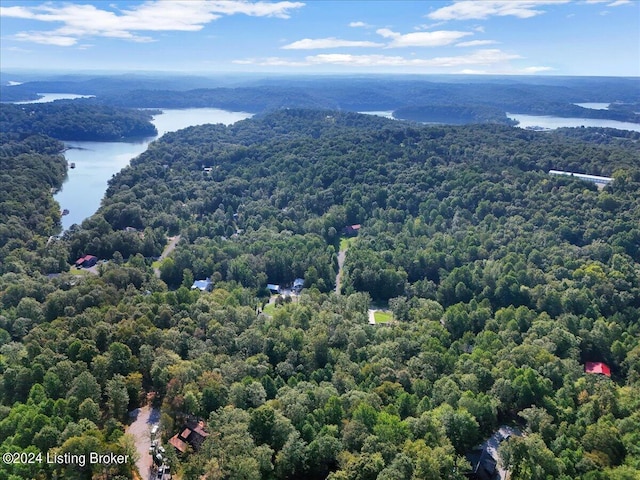 bird's eye view with a water view and a wooded view