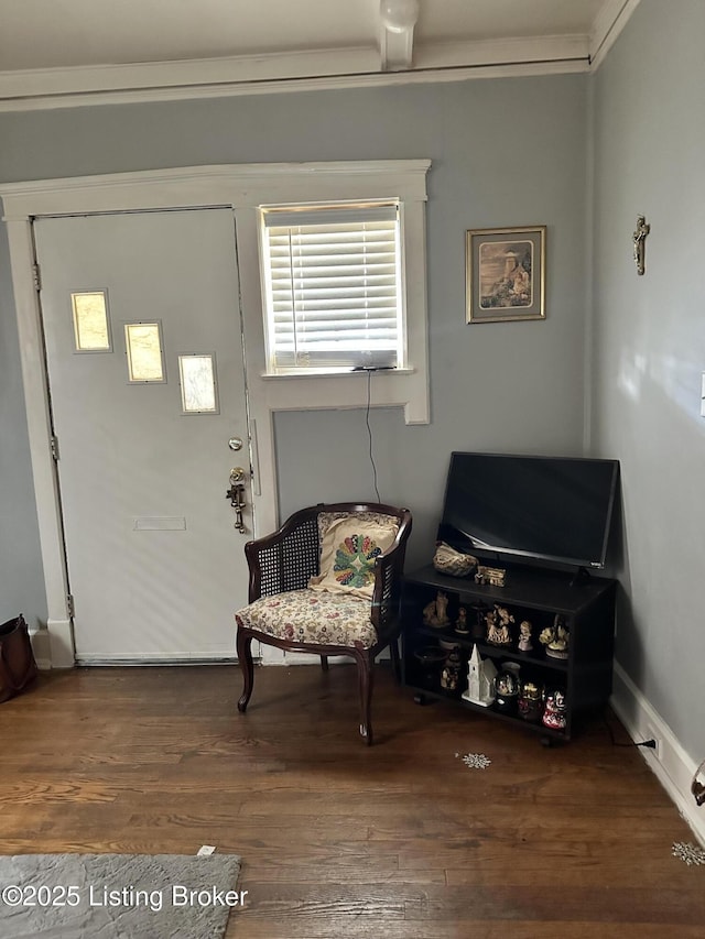 sitting room featuring dark wood-type flooring