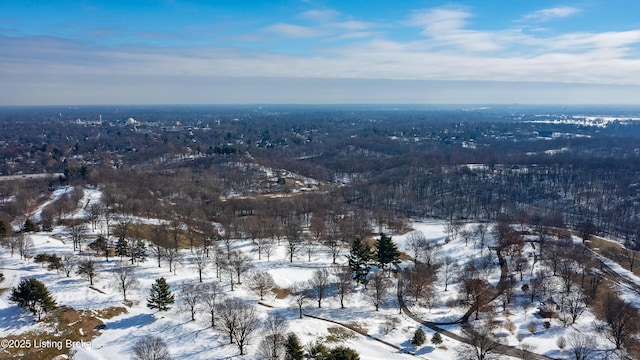 view of snowy aerial view