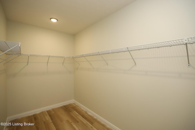 spacious closet featuring wood finished floors