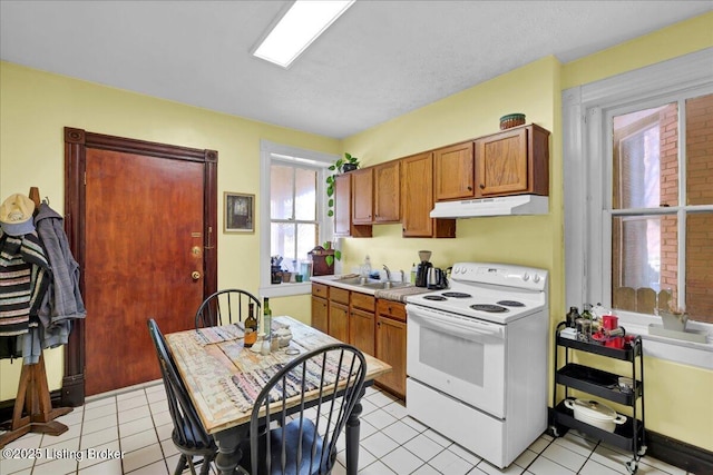 kitchen featuring brown cabinetry, under cabinet range hood, a sink, and electric range