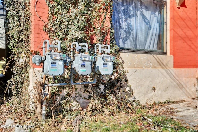 exterior space featuring gas meter