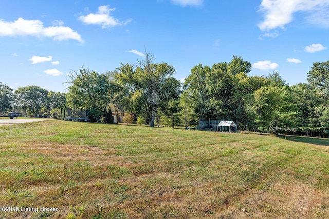 view of yard featuring a trampoline