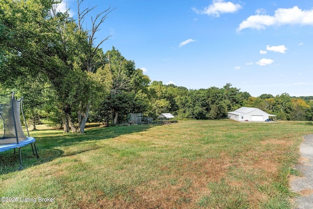 view of yard featuring an outbuilding, a trampoline, and a detached garage