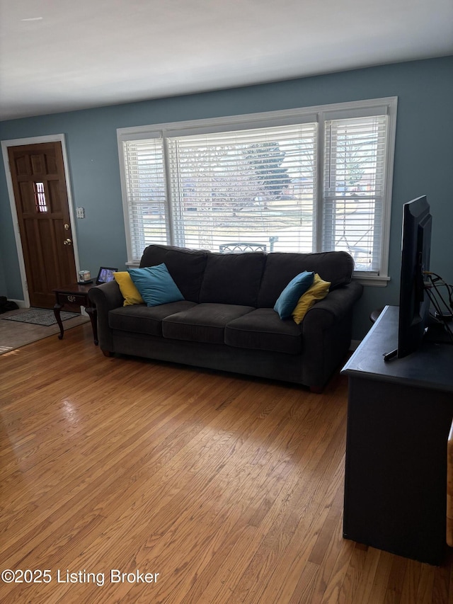 living area featuring wood finished floors