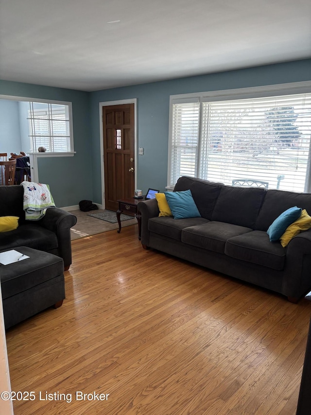 living area featuring light wood-style floors and plenty of natural light