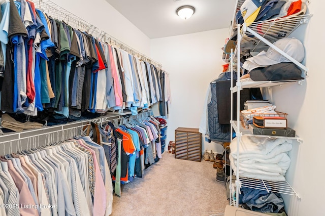 walk in closet with carpet floors