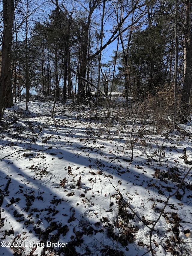 view of snowy view