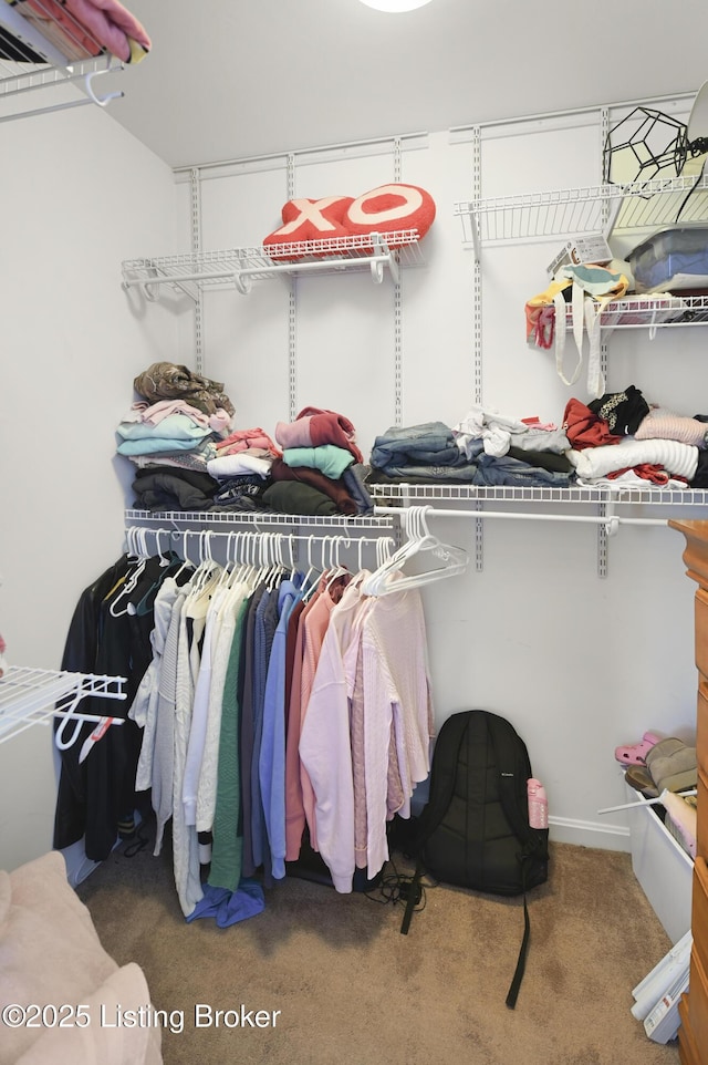 walk in closet featuring carpet