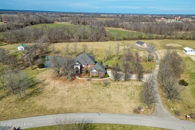 drone / aerial view featuring a rural view