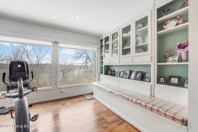 950 Lakeview Dr, Bloomfield, KY 40008 - workout room featuring baseboards and light wood-style floors