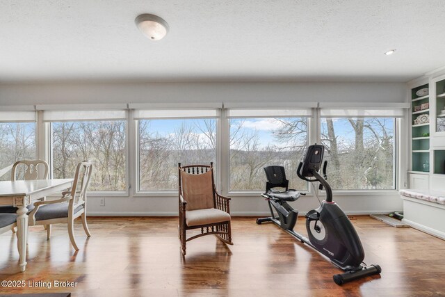 950 Lakeview Dr, Bloomfield, KY 40008 - workout area featuring recessed lighting, baseboards, a textured ceiling, and wood finished floors