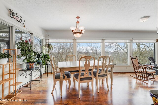 950 Lakeview Dr, Bloomfield, KY 40008 - dining space featuring a chandelier, a textured ceiling, and wood finished floors