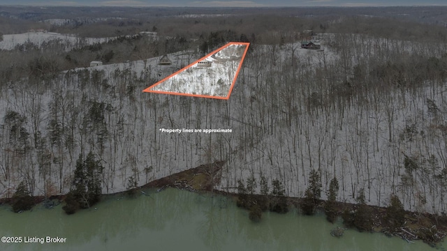 950 Lakeview Dr, Bloomfield, KY 40008 - birds eye view of property