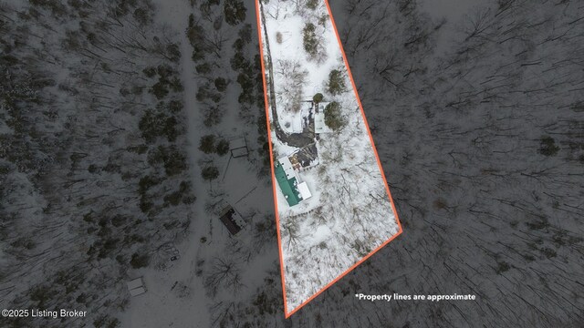 950 Lakeview Dr, Bloomfield, KY 40008 - birds eye view of property