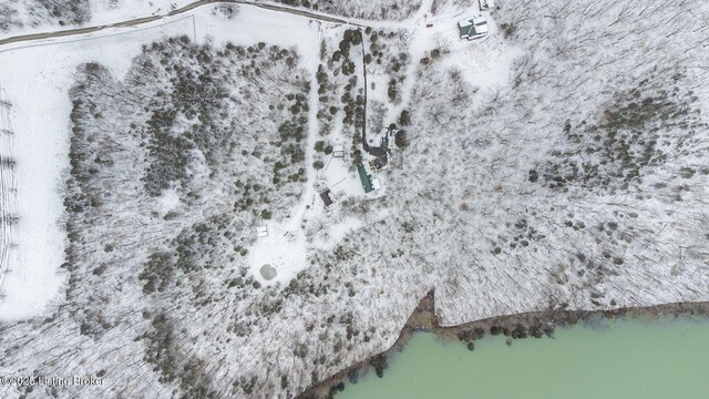 950 Lakeview Dr, Bloomfield, KY 40008 - drone / aerial view