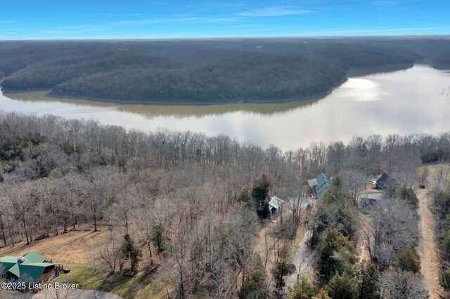 950 Lakeview Dr, Bloomfield, KY 40008 - bird's eye view featuring a forest view and a water view