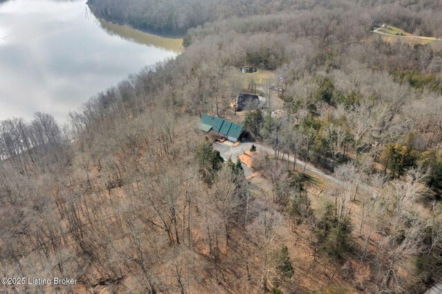 950 Lakeview Dr, Bloomfield, KY 40008 - drone / aerial view featuring a wooded view and a water view