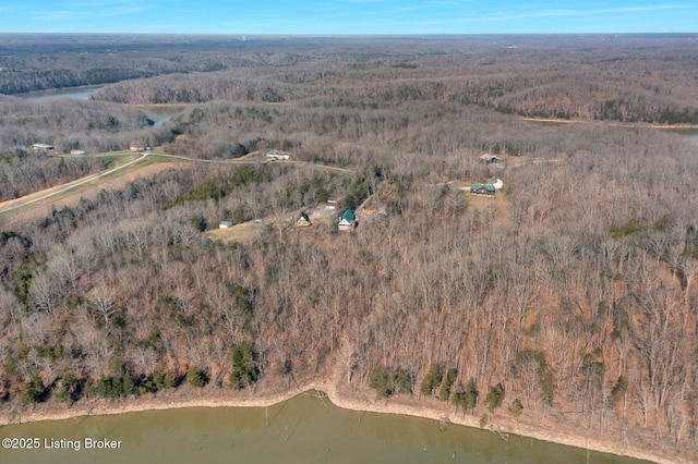 950 Lakeview Dr, Bloomfield, KY 40008 - bird's eye view with a water view