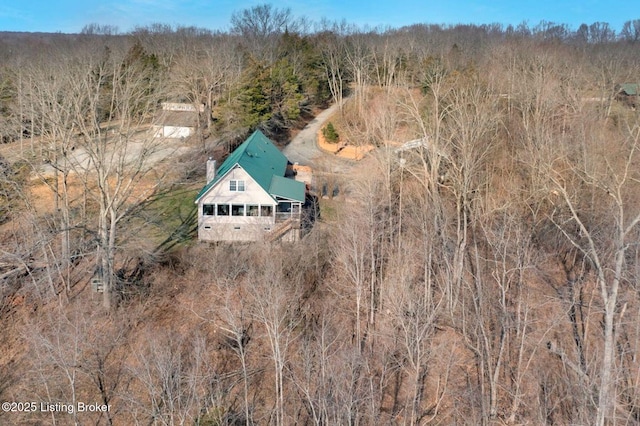 950 Lakeview Dr, Bloomfield, KY 40008 - bird's eye view