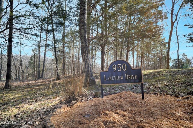 950 Lakeview Dr, Bloomfield, KY 40008 - view of community / neighborhood sign