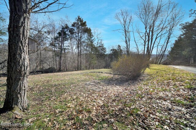 950 Lakeview Dr, Bloomfield, KY 40008 - view of yard