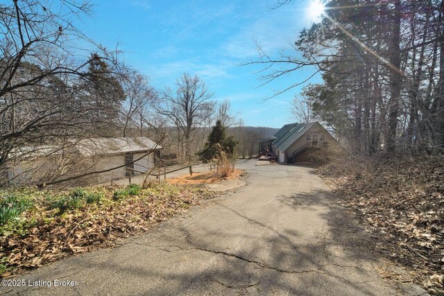 950 Lakeview Dr, Bloomfield, KY 40008 - view of street with aphalt driveway