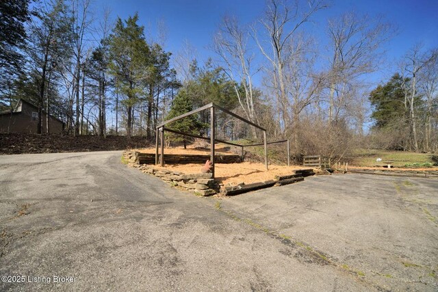 950 Lakeview Dr, Bloomfield, KY 40008 - view of road