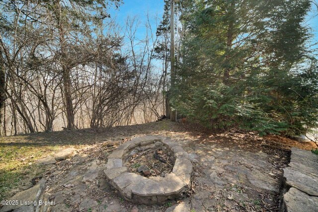 950 Lakeview Dr, Bloomfield, KY 40008 - view of yard with an outdoor fire pit