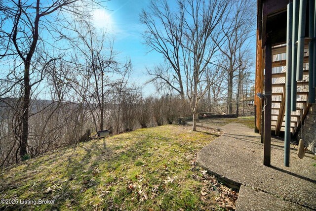 950 Lakeview Dr, Bloomfield, KY 40008 - view of yard