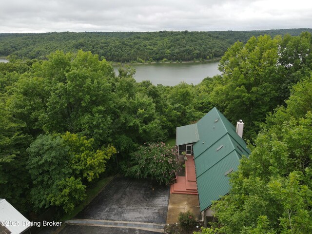 950 Lakeview Dr, Bloomfield, KY 40008 - birds eye view of property with a view of trees and a water view