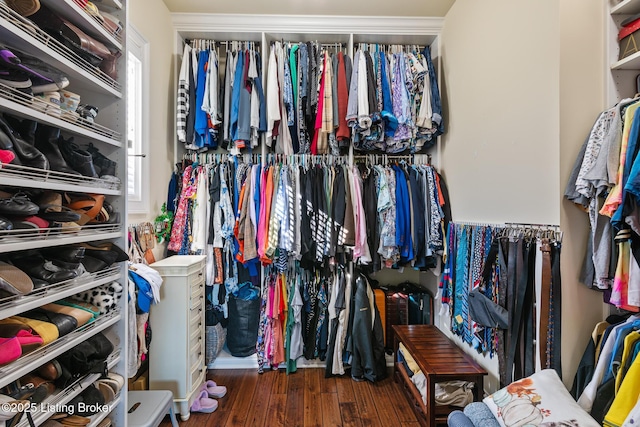 walk in closet with dark wood-style flooring