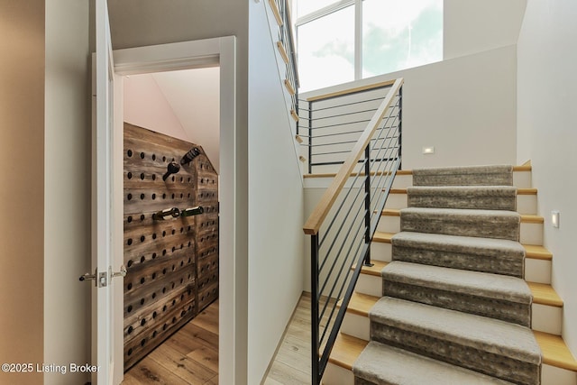 wine cellar featuring wood finished floors