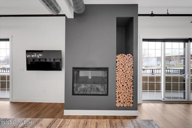 room details with baseboards, wood finished floors, and a glass covered fireplace