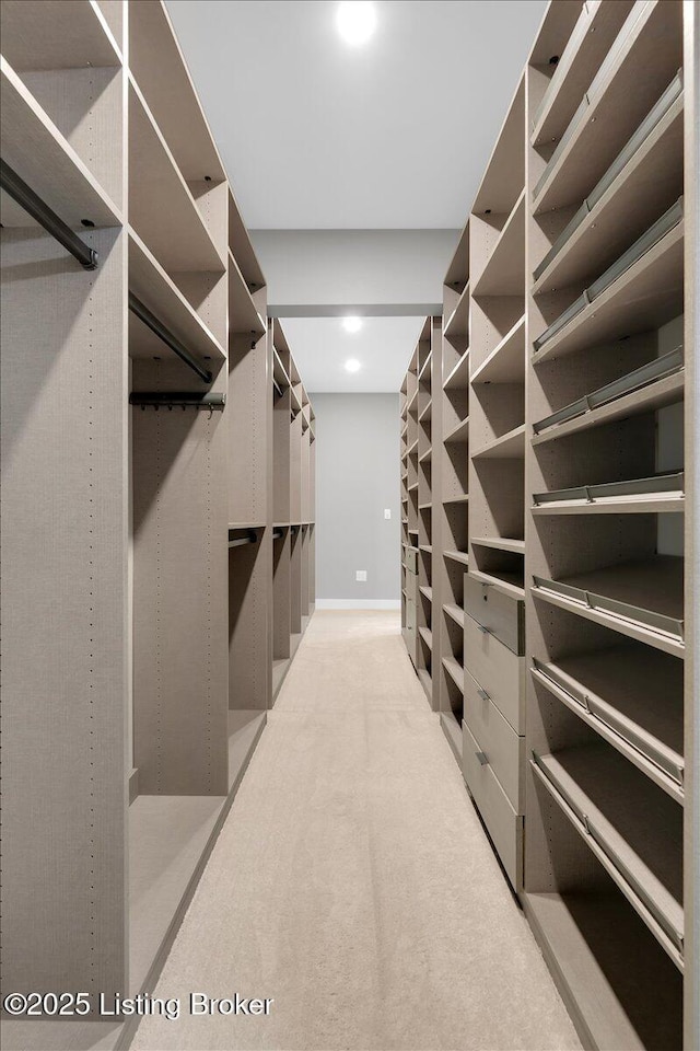 spacious closet with light carpet