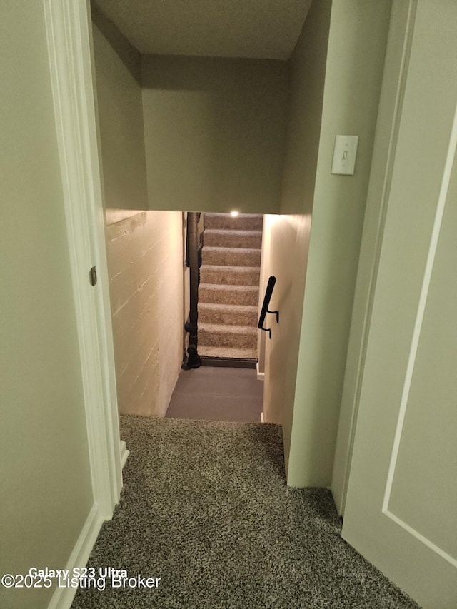 staircase with carpet