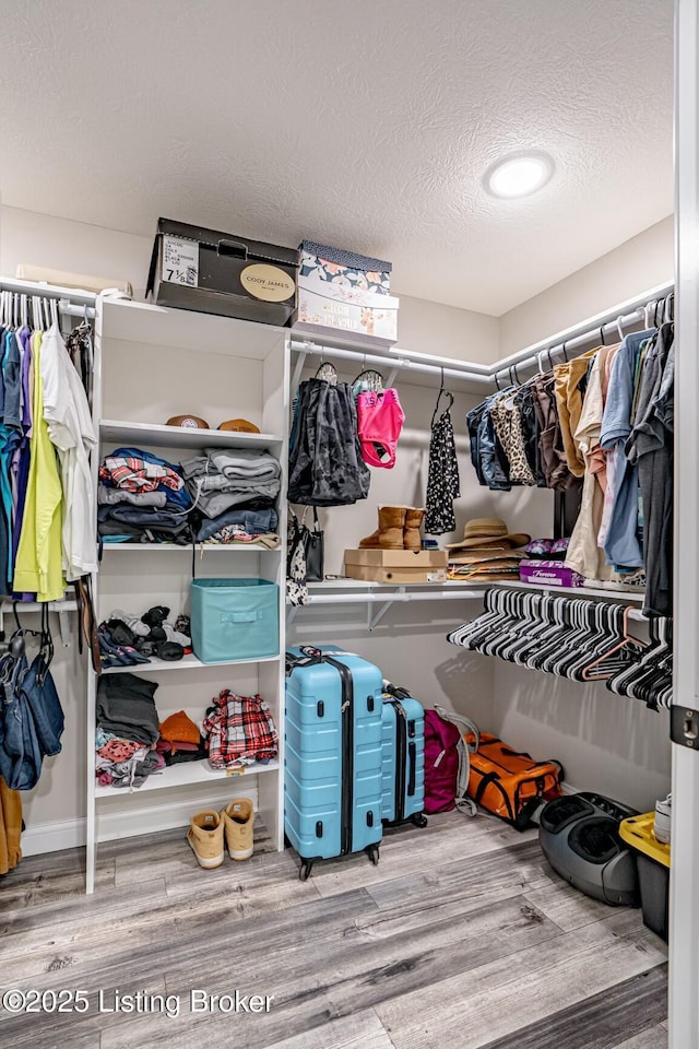 spacious closet featuring wood finished floors