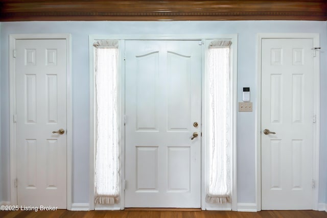 foyer entrance featuring a wealth of natural light