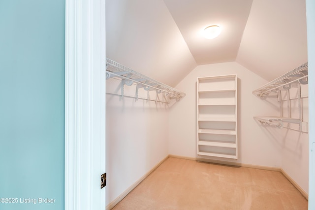 walk in closet with lofted ceiling and carpet floors