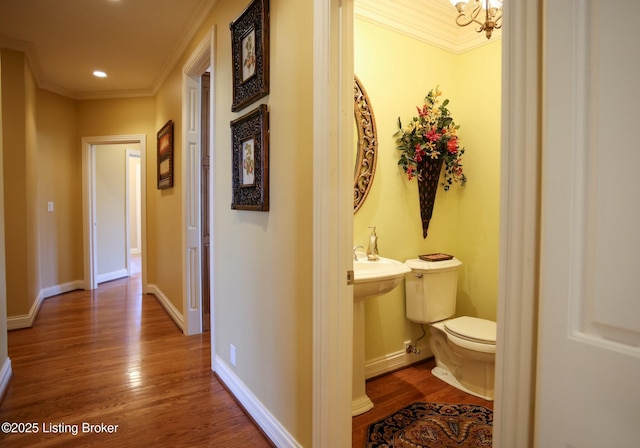 corridor with baseboards, wood finished floors, and crown molding